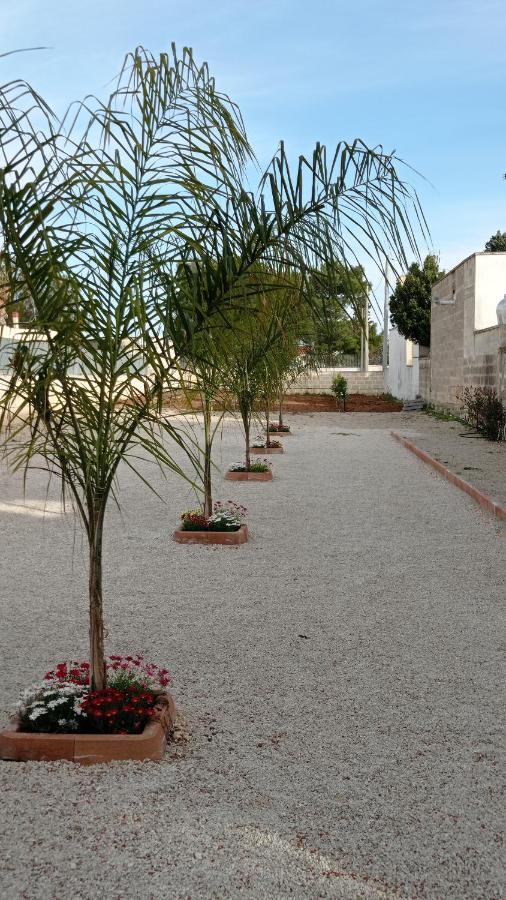 Villa Angela Chiara Porto Cesareo Ngoại thất bức ảnh